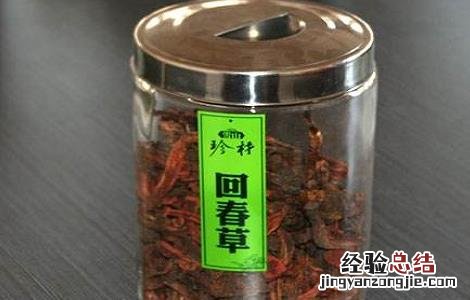 回春草的功效与作用 回春草的功效与作用及食用方法