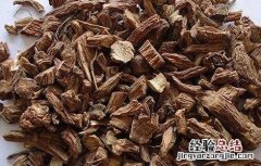 川续断的功效与作用及用量 川续断的功效与作用
