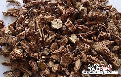 川续断的功效与作用及用量 川续断的功效与作用