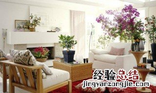 客厅植物摆放风水禁忌 客厅植物摆放风水