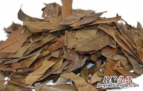 石楠叶的功效及作用及禁忌 石楠叶的功效与作用点