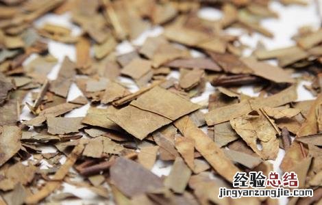 石楠叶的功效及作用及禁忌 石楠叶的功效与作用点