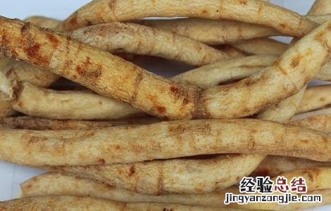 明党参的功效和作用及禁忌 党参的功效与作用及食用方法禁忌介绍!
