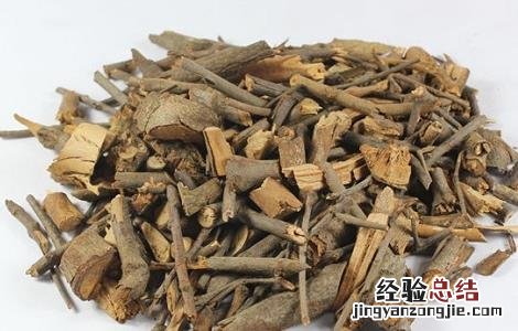 槲寄生的功效与作用及禁忌和副作用 槲寄生的功效与作用及禁忌