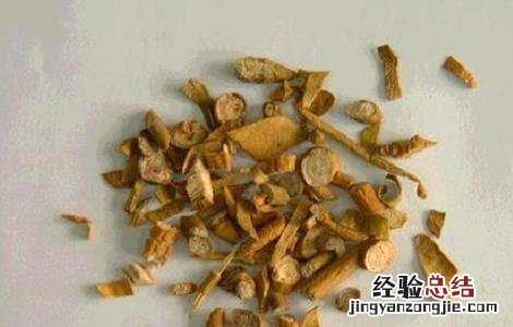 槲寄生的功效与作用及禁忌和副作用 槲寄生的功效与作用及禁忌