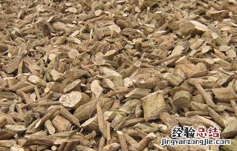 丁公藤的功效和作用及禁忌症 丁公藤的功效和作用及禁忌