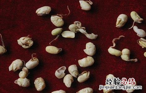 大豆黄卷的功效与作用及禁忌 大豆黄卷的功效与作用禁忌?