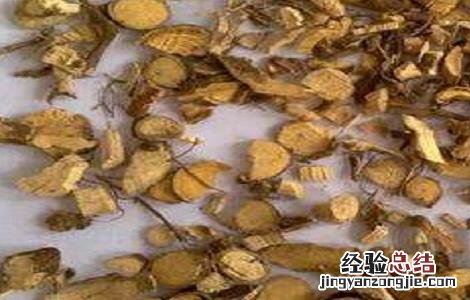 八角枫的功效和作用及禁忌 八角枫的功效和作用及禁忌