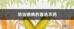 防治锈病的首选农药 蔬菜锈病最好的农药