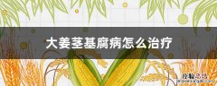 大姜茎基腐病用什么药防治 大姜茎基腐病怎么治疗