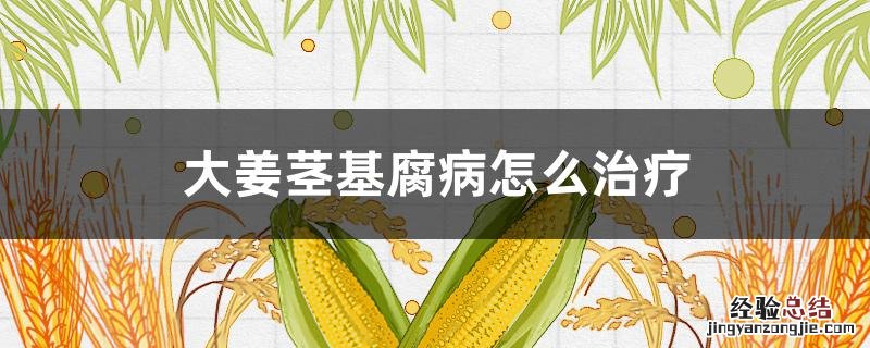 大姜茎基腐病用什么药防治 大姜茎基腐病怎么治疗
