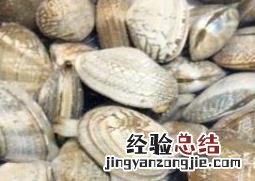 花蛤怎么洗最快最干净 花蛤怎么洗才干净快速