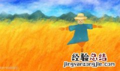 麦田守望者的寓意 麦田守望者这本书的意义