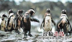 环境问题的分类 环境问题如何分类