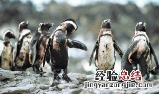 环境问题的分类 环境问题如何分类