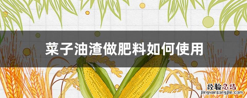 菜子油渣做肥料可种什么菜 菜子油渣做肥料如何使用