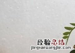 清香木叶子全掉了怎么办 清香木掉叶子的解决方法