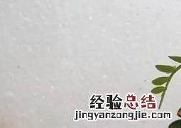 清香木叶子全掉了怎么办 清香木掉叶子的解决方法
