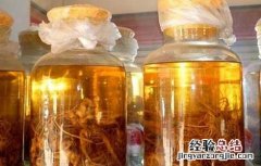 三七泡酒的功效与作用 西洋参三七泡酒的功效与作用
