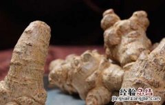 什么人不能吃三七 什么人不能吃三七片