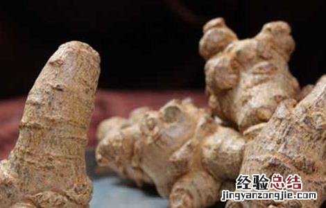 什么人不能吃三七 什么人不能吃三七片