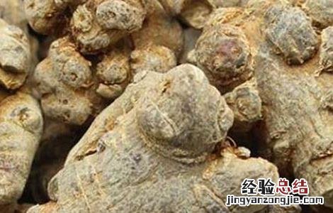 什么人不能吃三七 什么人不能吃三七片