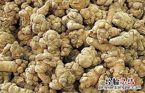 什么人不能吃三七 什么人不能吃三七片