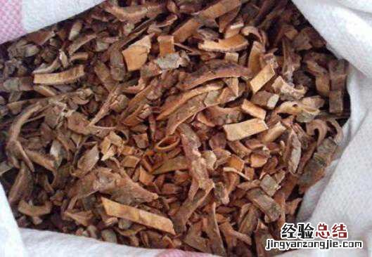土荆皮的功效与副作用 土荆皮有什么作用