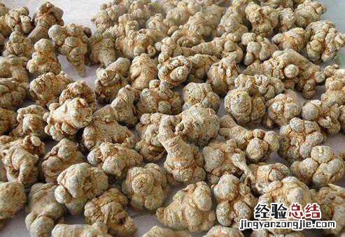 土三七能食用吗 服用土三七的注意事项和禁忌有哪些