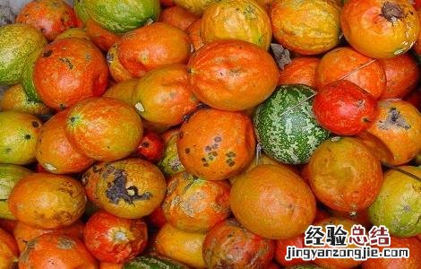 瓜蒌的功效与作用 瓜蒌的功效与作用点的功效