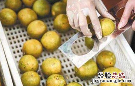 罗汉果治咽喉炎吗? 罗汉果能治咽喉炎吗