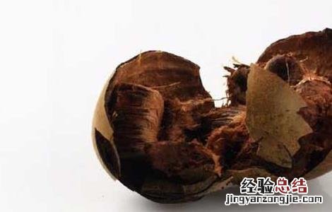 罗汉果的功效与禁忌 罗汉果的功效与禁忌怎么泡水效与禁忌