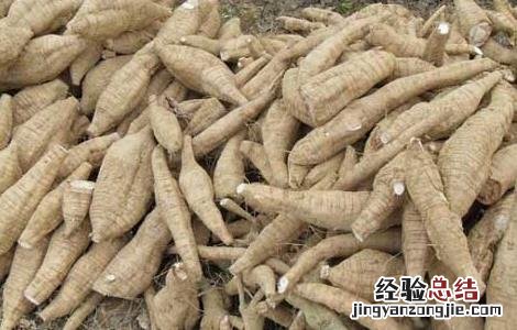 葛根泡水喝的功效与禁忌症 葛根泡水喝的功效及禁忌