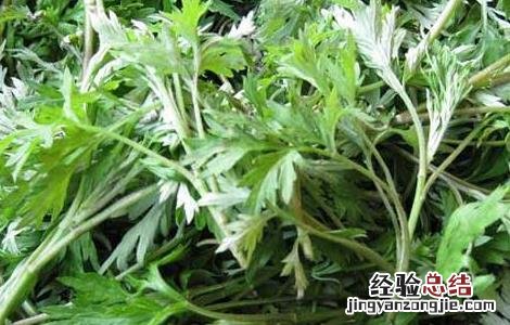 艾草泡脚可以减肥吗