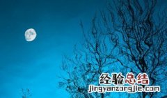 静夜思描写的是什么季节诗人什么心情 全诗原文是什么