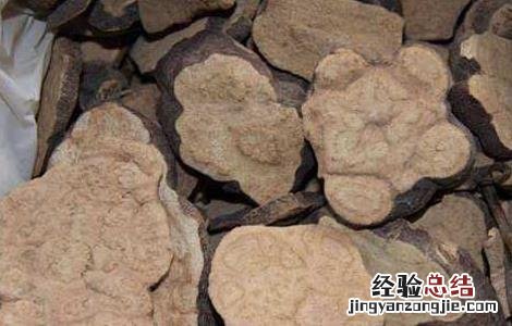 何首乌泡水喝的功效及禁忌 何首乌泡水喝的功效及禁忌症