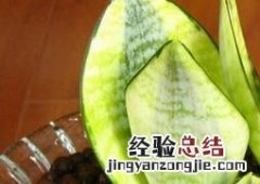 虎尾兰养殖方法和注意事项浇水要适量 虎尾兰养殖方法和注意事项