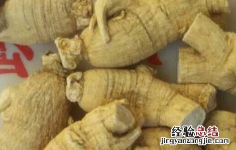 西洋参补气效果好吗 西洋参补气好还是人参补气好