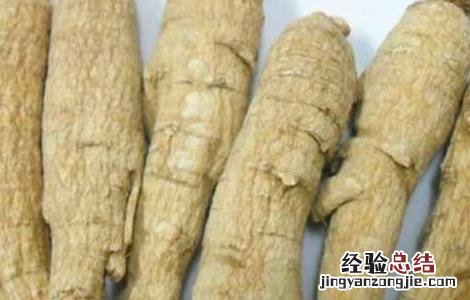 西洋参补气效果好吗 西洋参补气好还是人参补气好