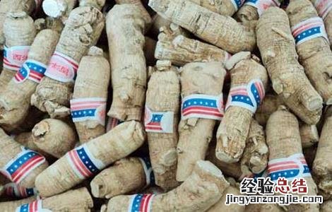 西洋参补气效果好吗 西洋参补气好还是人参补气好