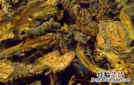 黄连泡水喝有什么好处 乌梅与黄连泡水喝有什么好处