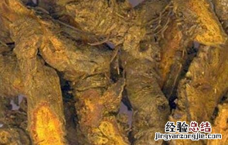 黄连泡水喝有什么好处 乌梅与黄连泡水喝有什么好处