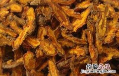 黄连泡水喝有什么好处 乌梅与黄连泡水喝有什么好处