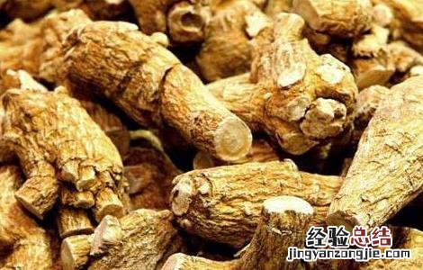 花旗参泡水喝的功效及禁忌 花旗参泡水喝的功效及禁忌