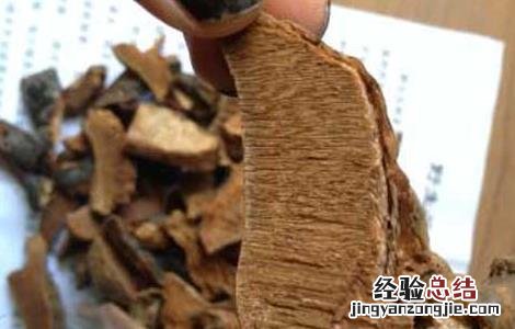 紫灵芝的功效与作用及食用方法 灵芝紫芝的功效与作用