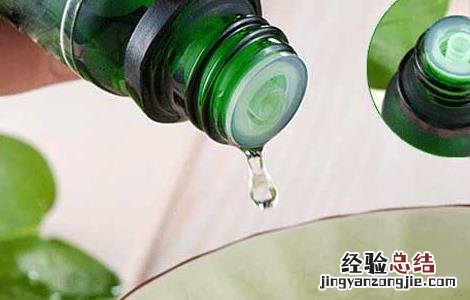 薄荷精油的功效与作用及禁忌 薄荷精油的功效与作用
