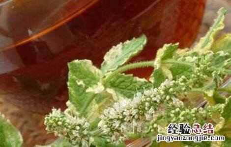 薄荷精油的功效与作用及禁忌 薄荷精油的功效与作用