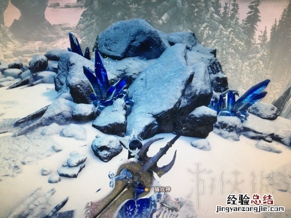 怪物猎人冰原扭曲的结晶在哪里挖的 怪物猎人世界冰原钢龙遗蜕怎么挖