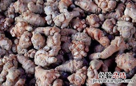 三七有什么副作用 三七有什么副作用与禁忌