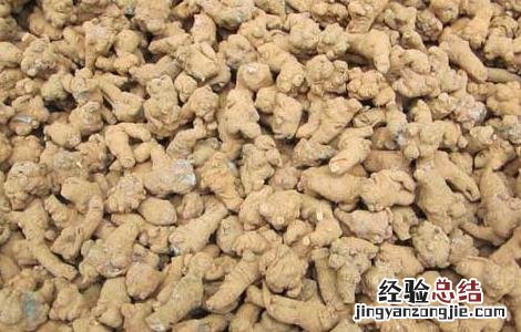 三七有什么副作用 三七有什么副作用与禁忌